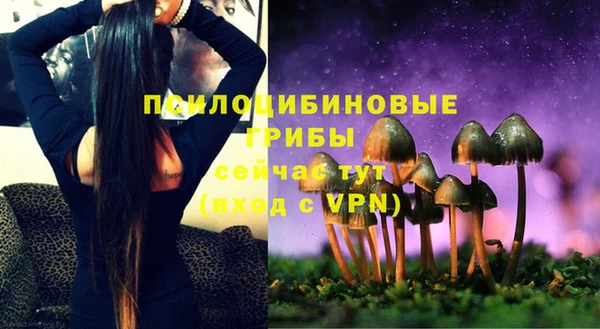 mdma Каменногорск