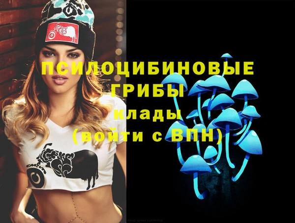мдма Каменка